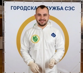 Летние насекомые